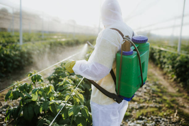 Best Pest Control for Restaurants  in South Taft, CA